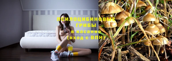 Альфа ПВП Анива